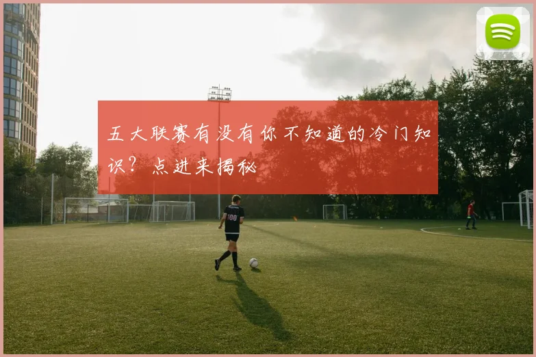 五大联赛有没有你不知道的冷门知识?点进来揭秘