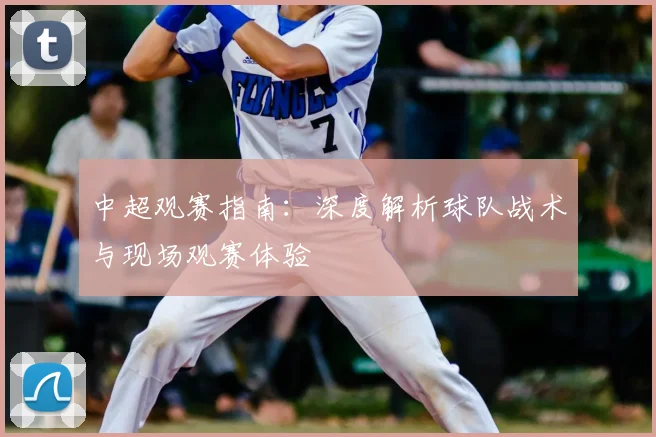 中超观赛指南:深度解析球队战术与现场观赛体验